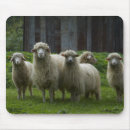 Search for flock mousepads Nature