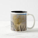 Search for white sands mugs Desert