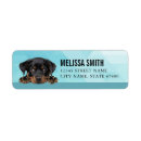 Search for rottweiler puppy return address labels Cute