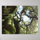 Search for oak tree posters Woodland