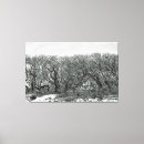 Search for windy tree Trees