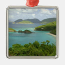 Search for seascape ornaments ocean