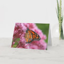 Search for weed cards Photography