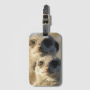 Search for animal mating accessories Wildlife