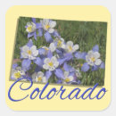 Search for columbine flowers stickers Colorado
