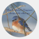 Search for bluebird stickers Animal