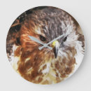 Recherche de rapace horloges Nature