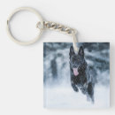 Recherche de chiens loup porteclés Animal