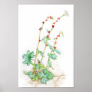 Recherche de alpin art Botanique