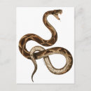Search for vintage snake postcards Illustration