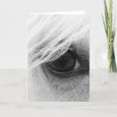 Search for black horse cards Equine