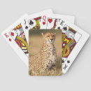 Search for danita delimont playing cards Horizontal