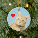 Search for light ginger Cute