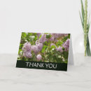 Recherche de syringa Violet