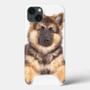 Search for mutt electronics Breed