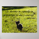 Search for kitten posters Motivational