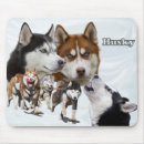 Recherche de enroué tapis souris Animal familier