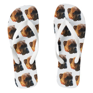 Boxer dog outlet shoes