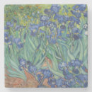 Search for bloom barware Nature