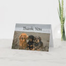 Search for dachshund thank you cards Puppies