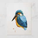 Recherche de merles cartes postales Illustration