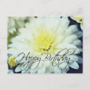 Search for autumn flowers birthday cards White