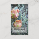 Recherche de rose de fleur photographie Photographe