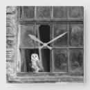 Search for barn animals art Black