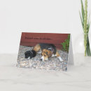 Search for bff thank you cards Dog