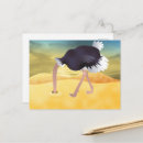 Recherche de ostrich cartes postales Animal
