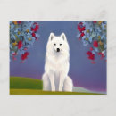 Recherche de esquimau cartes postales Animal