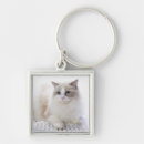 Search for ragdoll keychains Pet