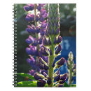 Search for studi photography Flowers
