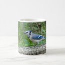 Search for bluejay mugs Wildlife