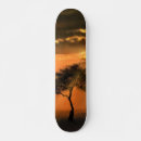Recherche de arbre comp skateboards Été
