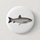 Recherche de carpe badges Poisson