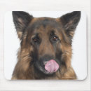 Search for german shepherd mousepads Photography