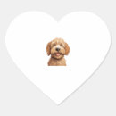 Search for labradoodle stickers Wolf