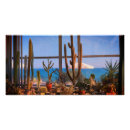 Recherche de cactus plant posters Botanique