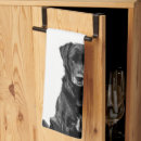 Recherche de petit chien cuisine linges Animal