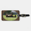 Search for foal accessories Field