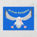 Recherche de albatros cartes postales Oiseau