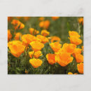 Recherche de delimont de danita cartes postales Bright