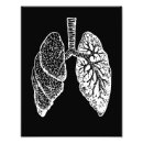 Recherche de anatomie poumon art Poumons