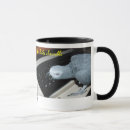 Search for african gray parrot mugs Grey