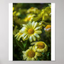 Recherche de fleurs jaunes posters Pour tous