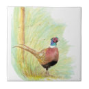 Search for pheasant tiles Nature