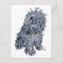 Search for griffon postcards Pets