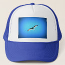 Search for gulls hats Bird
