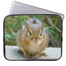Search for chipmunk electronics Furry